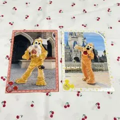 プルート スペシャルフォト2枚/ディズニーリゾート