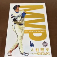 mle05654様 リクエスト 3点 まとめ商品