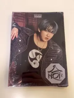 straykids 合(hop) Accordion ver. (チャンビン)