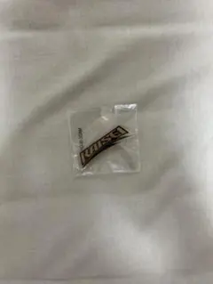 武知海青　バッチ