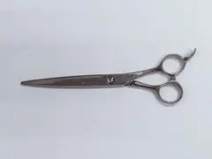 2025年最新】光シザー レイコスモスの人気アイテム - メルカリ