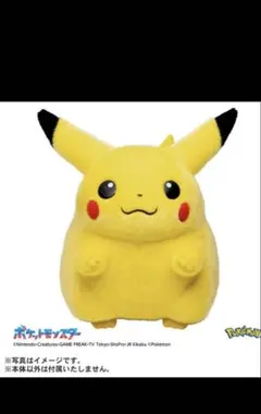ポケモン30周年記念 おかえり!ピカチュウ1/1 タカラトミー　新品