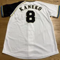 Item thumbnail for item a0b63a82-8d40-46a8-b8b0-4409970e129c