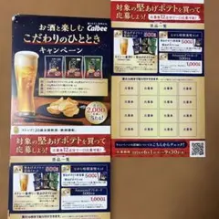 Calbee 堅あげポテト キャンペーン 応募用紙のみ　20枚のサムネイル
