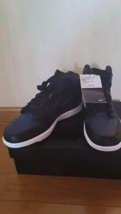 NIKE DUNK HI /F フラグメント