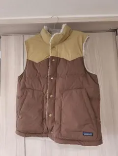 Patagonia パタゴニア　ダウンベスト