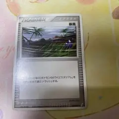 暴風　ポケモンカード　1枚