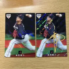 東京ヤクルトスワローズ　梅野雄吾　プロ野球チップス　侍ジャパン　金箔サインカード