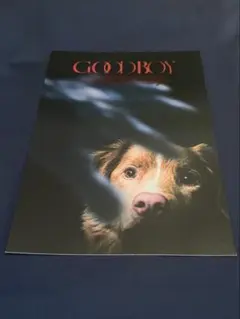 映画GOOD BOY 入場特典ポストカード
