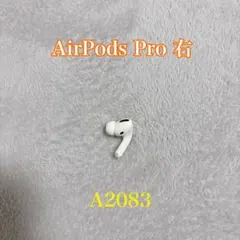 Apple AirPods Pro 片耳 R 片方 右耳 A2083