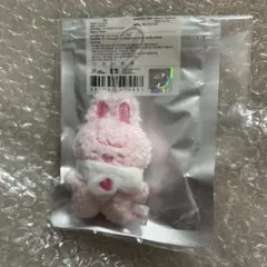 2026年最新】SKZOO ぬいぐるみ チャンビンの人気アイテム - メルカリ