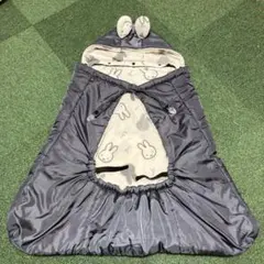 Item thumbnail for item efc2c09e-e25f-4cb4-aed8-a445e3c7ee7b