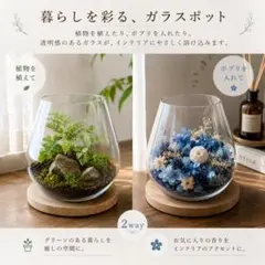 ガラス花器 木製台座付き フラワーベース テラリウム ポプリ入れのサムネイル
