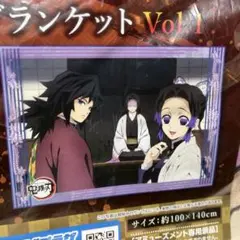 鬼滅の刃 プレミアムビッグブランケット Vol.1 冨岡義勇 胡蝶しのぶ