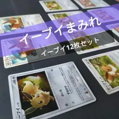【ポケモンカード】イーブイ 12枚セット