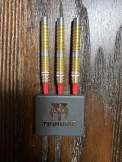 2026年最新】ダーツ ゴメスの人気アイテム - メルカリ