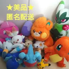 ポケモン ぬいぐるみセット 中型