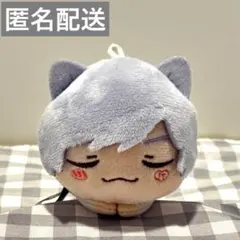 いれいす　初兎　おひるねこ　マスコット