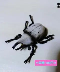 ムシキング✽カブトムシ［フィギュア］
