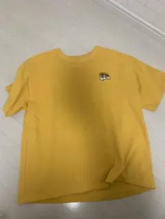 Item thumbnail for item 56f973d2-2701-4cf9-a3c4-3e856775db3c