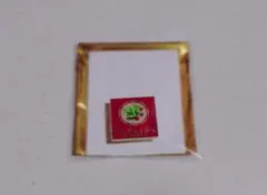 【竈門炭治郎】隊士百景コレクションピンズ②