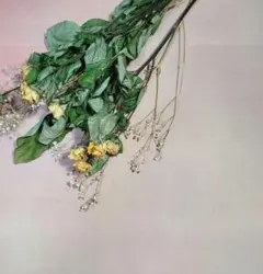 ブライスアウトフイット(みーちゃん様専用)