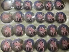 プロセカ 暁山瑞希 ロウワー CD特典 缶バッジ 24個セット