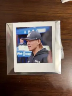 千葉ロッテマリーンズ　シークレットスクエアチェキ　山本大斗