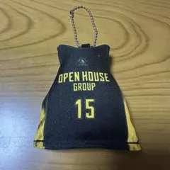 群馬クレインサンダーズ　A.J EDU