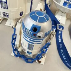 【美品】東京ディズニーランドR2-D2 チェーン付きミニケース スターウォーズ