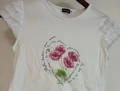 bebe べべ　半袖　トップス　Tシャツ　フリル　白　150のサムネイル