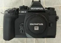 OLYMPUS OM-D E-M1 初代 ボディ 付属品あり