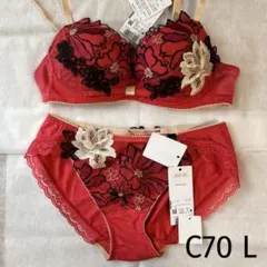 サルート　C70 サルート フロントエックス C70のおすすめ人気商品一覧 通販