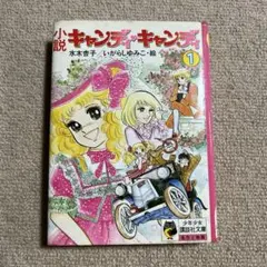 2025年最新】キャンディキャンディイラスト集の人気アイテム