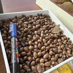 Item thumbnail for item 5e320bdc-6405-4279-8e0d-154d3caa3caa