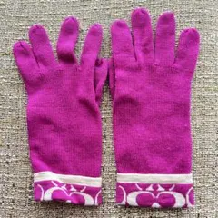 【訳あり】COACH グローブ