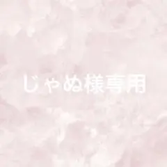 じゃぬ様専用