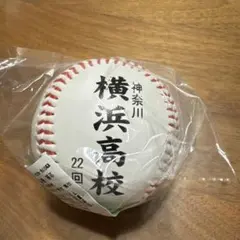 熱闘甲子園　本気の夏　100回目　ねったまくん　ピンバッジ 熱闘甲子園 本気の夏 100回目 ねったまくん ピンバッジ - メルカリ