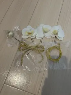 Item thumbnail for item d00e6600-f7bf-44fc-8f11-4bb57ab177ae