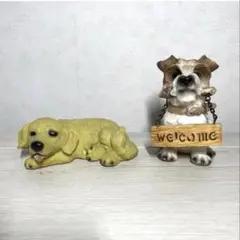 犬の置物 2点 アクティヴドッグ ゴールデンレトリバー＆シュナウザー ウェルカム