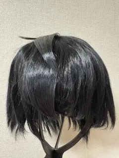あんスタ 朔間凛月 ウィッグ