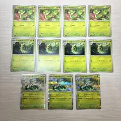 ポケモンカード　ツタージャ　ジャノビー　ジャローダ　進化ライン
