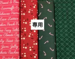 専用！おまとめ