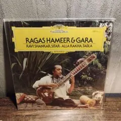 2026年最新】sitarの人気アイテム - メルカリ