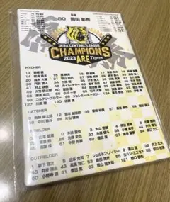 阪神タイガース リーグ優勝 ファブリックパネルのサムネイル