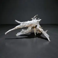 荒波のホーンウッド流木 42×32cm　テラリウム　パルダリウム　オブジェ　雑貨