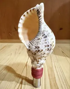 2026年最新】ホラ貝の人気アイテム - メルカリ