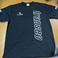 Item thumbnail for item 196cf866-5113-4029-80e3-7b91f379c76e