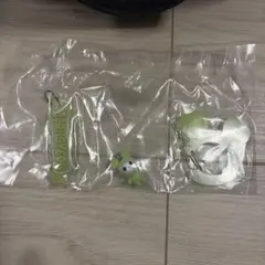 TWICE ジョンヨン