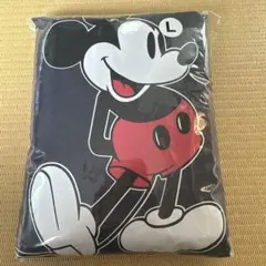 ディズニー　ミッキー　レインコート